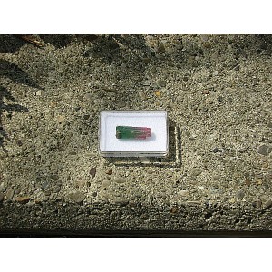 Turmalin-Kristall ( Bicolor)